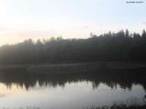 20 : 20
