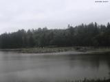 09 : 44