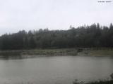 16 : 36