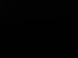 20 : 20