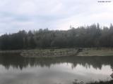 09 : 12