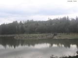 17 : 36