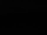 20 : 48
