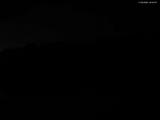 20 : 20
