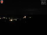 20 : 40
