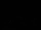 21 : 44