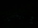 21 : 28
