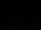 21 : 24
