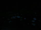 21 : 24