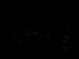 21 : 28