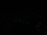 20 : 44