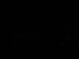 20 : 48