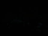20 : 48