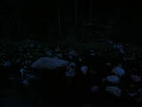 20 : 44