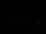 04 : 04