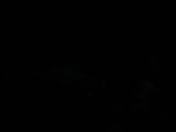04 : 04