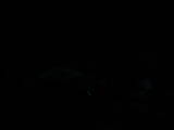 04 : 04
