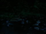 04 : 28