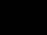 22 : 04
