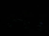 04 : 04