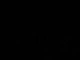 04 : 00