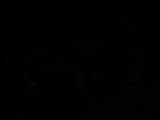 04 : 04