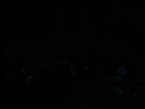 04 : 08