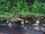06 : 24