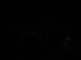 04 : 08