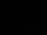 04 : 08