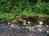 18 : 16