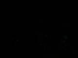 04 : 00