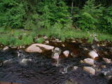 13 : 24