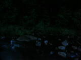 21 : 24