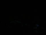04 : 36