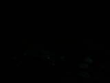 04 : 44