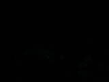 21 : 32