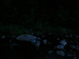 04 : 52