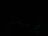 21 : 28