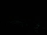 04 : 44