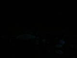 04 : 48