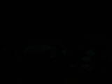 20 : 04