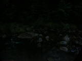 06 : 04