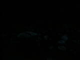 06 : 00