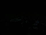 19 : 52