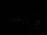 06 : 00