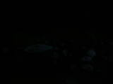 06 : 04