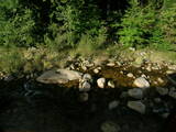 16 : 36