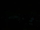 19 : 44