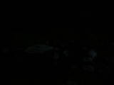 06 : 04